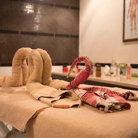 Alinn Boutique (adults Only)