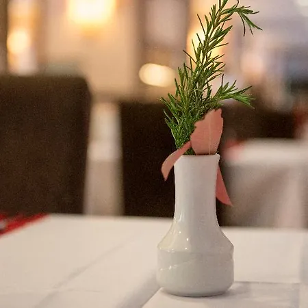 호텔 Alinn Boutique (adults Only) 4*