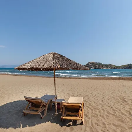 Alinn Boutique (adults Only) 사리게르메