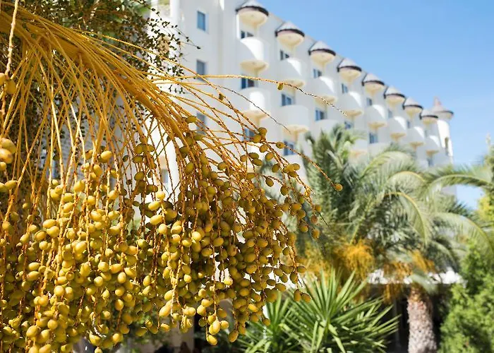 Hotel Alinn Boutique (adults Only)