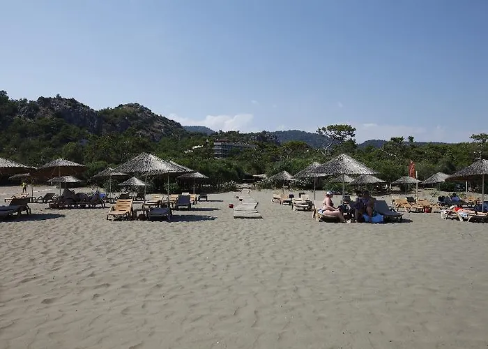 Alinn Boutique (adults Only) Szálloda Sarigerme
