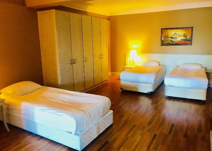 Alinn Boutique (adults Only) 4* サルゲルメ